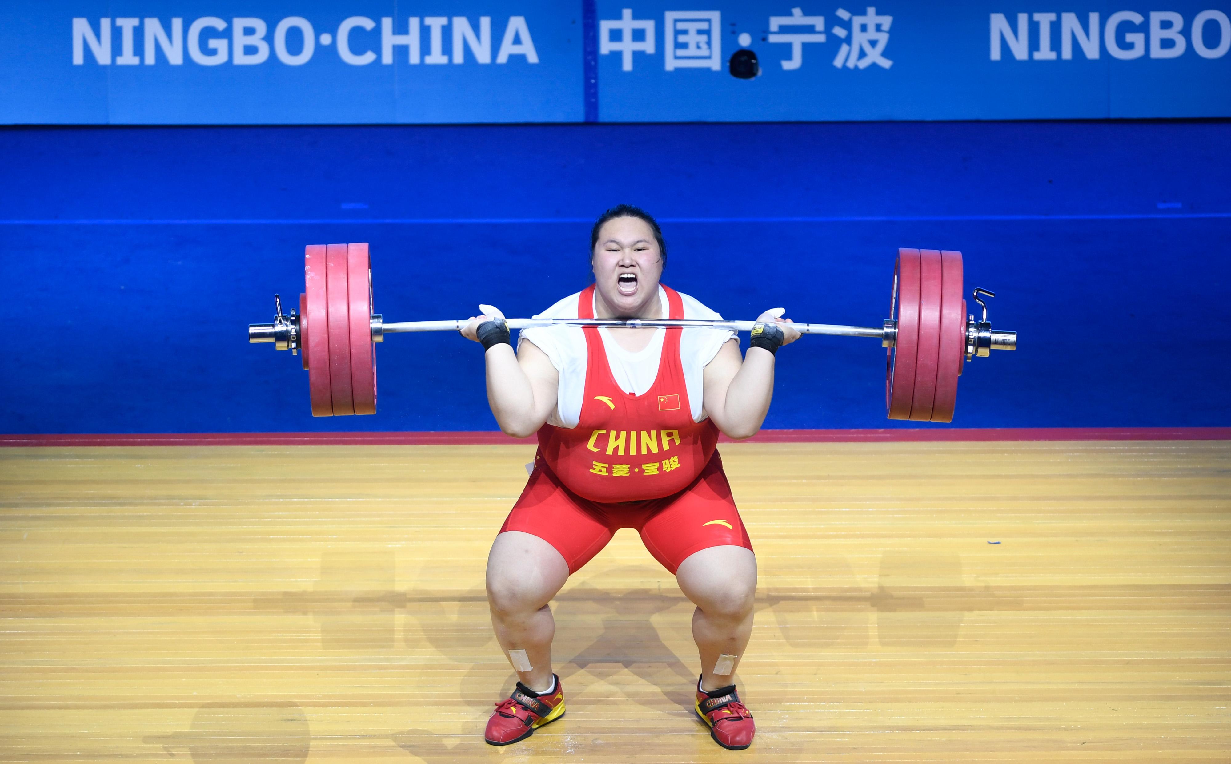 2019年正版马会资料大全，全面解析与使用指南2020正版马会资料免费大全