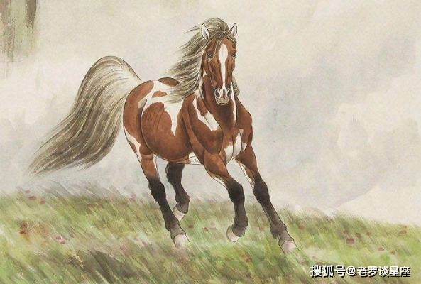 买马资料图2018今晚，一场智慧与运气的较量买马资料图2019,114期