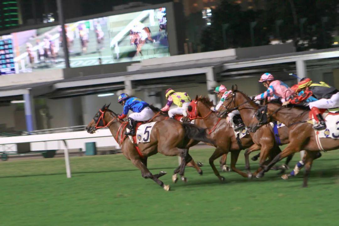探索香港马会免费资料大全，解锁赛马的奥秘与文化
