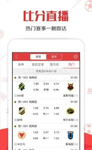 308k，解锁数字背后的幸运密码308k二四六天天、好彩资料大全 小说
