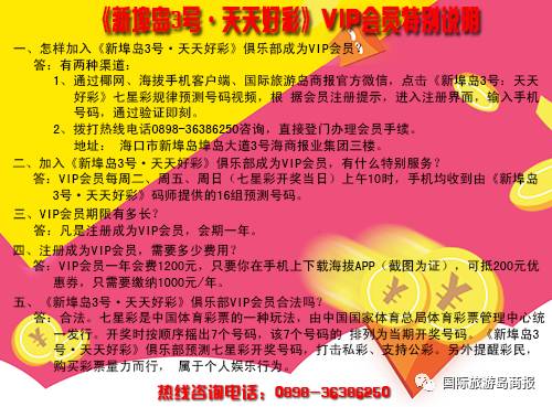 蓝姐平码论坛，数字世界的理性与智慧蓝姐平码内部