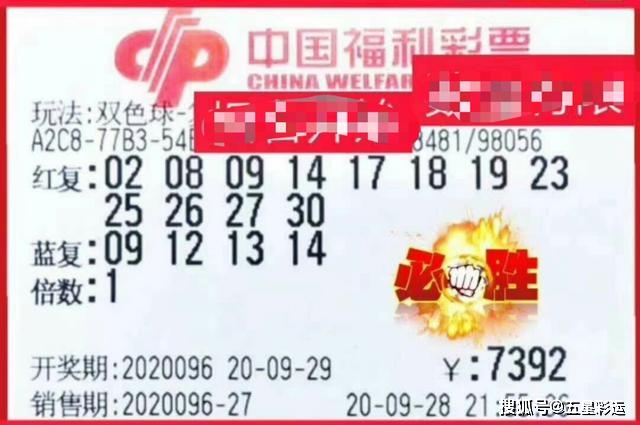 粉百合彩吧，绽放的幸运之地牛彩网3d字谜汇总大全92期