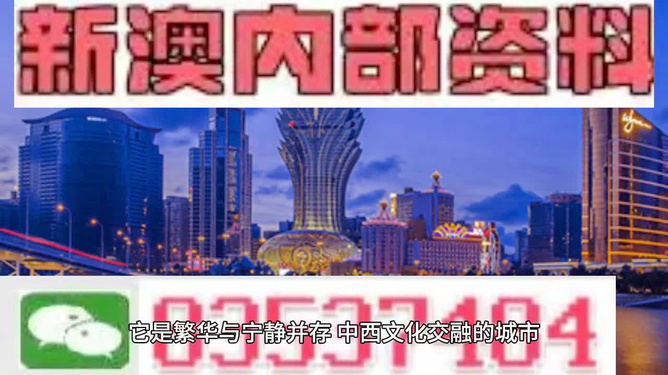 探索澳门，免费资料网站，解锁城市魅力打开澳门网站免费资料经典版优势