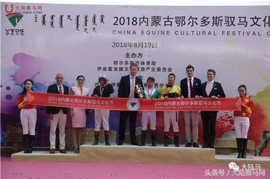 蓝月亮马会精选资料大全，解锁赛马的智慧与激情蓝月亮马会精选资料大全期准优势