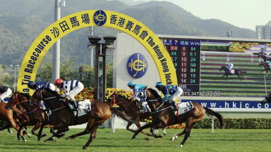 探索香港马会资料，历史、运营与影响香港赛马会资料信息唯一官方网站