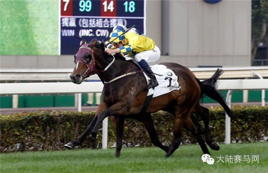 香港马会资料大全，全面解析香港赛马的魅力与规则