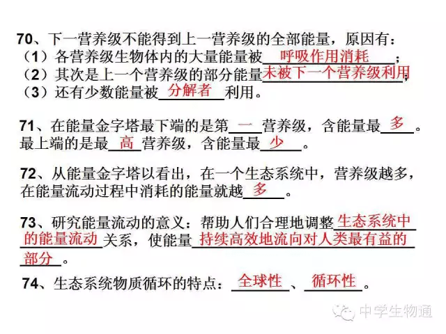 探索二四六天天好资料大全与玄机图的奥秘二四六天天好资料大全图片玄机