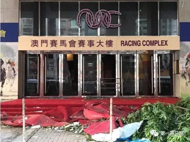 免费马会传真论坛，赛马的智慧与激情的交汇马会传真论坛免费资料十年