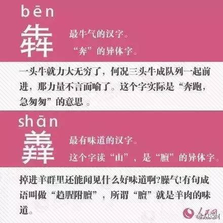 探寻二四六天天好彩的奥秘，毎期文字资料大全解析