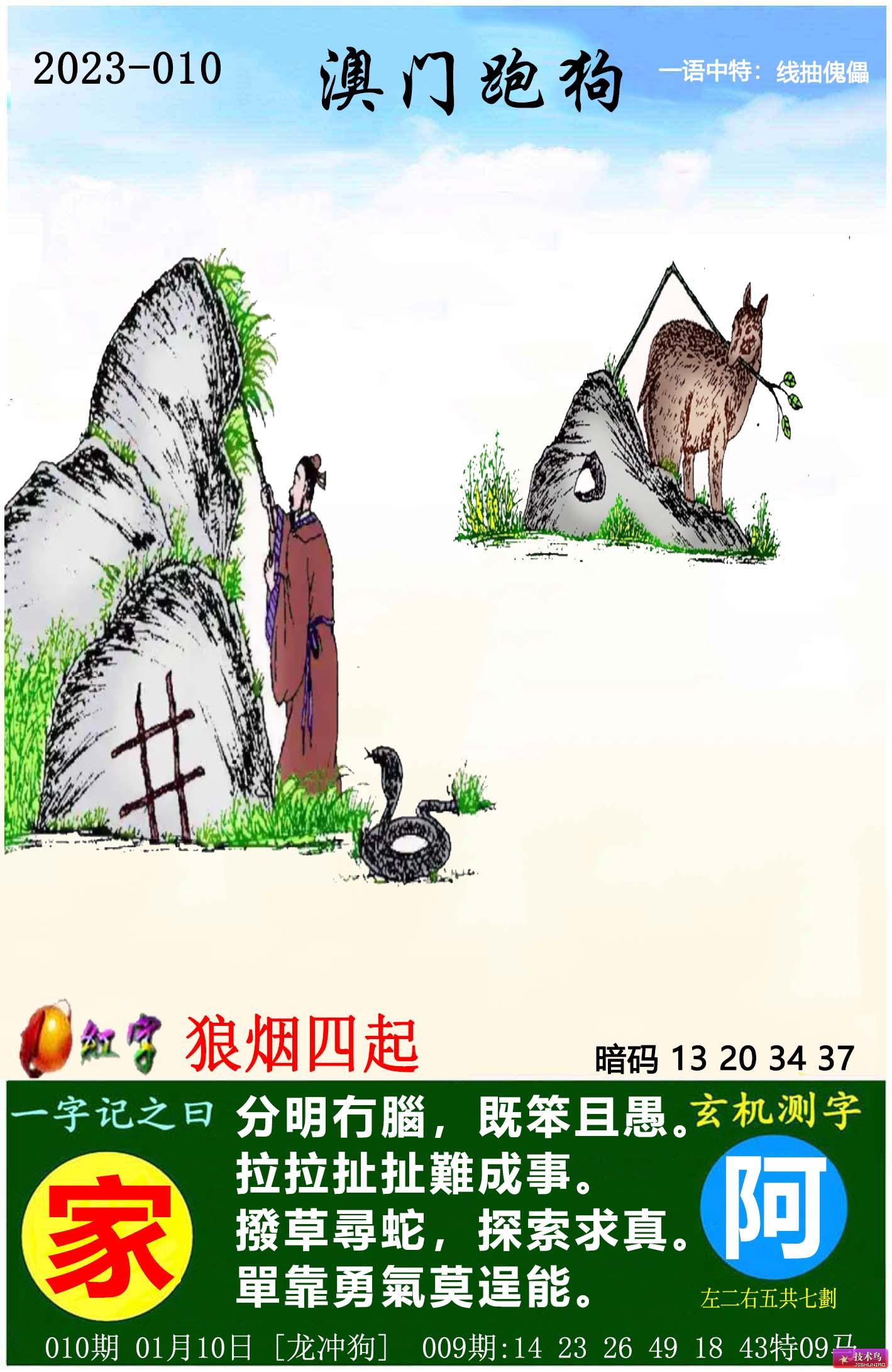 探索新跑狗高清彩图，一场视觉与智慧的盛宴新跑狗高清跑狗图彩图大全