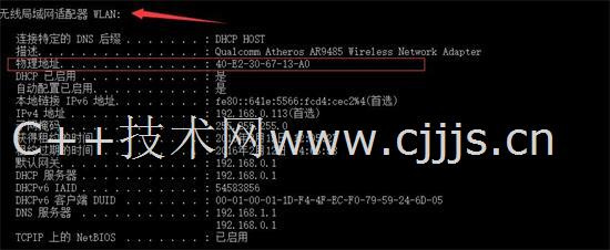 2025直播 第10页