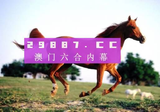 澳门今晚必中一码的真相，理性与现实的碰撞一肖一码免费,公开