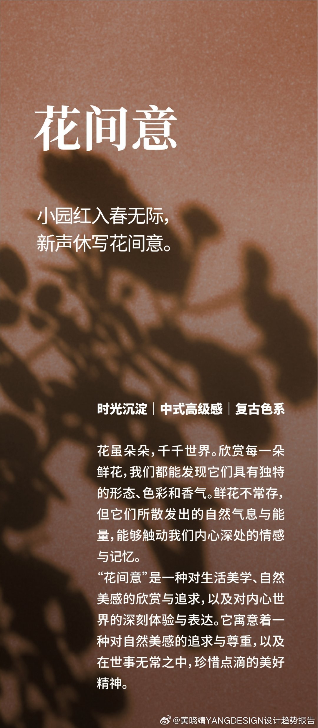 探索新奥彩，全年诗句中的色彩斑斓新奥彩最新资料