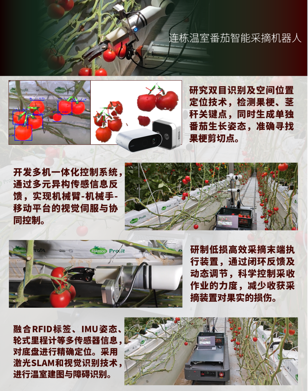 3D采摘网，重塑农业的未来3D采摘网藏机图最新版更新内容