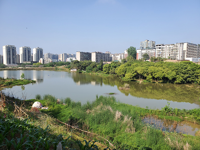 福建快递用房面积要求的深度解析与影响探讨快递服务用房