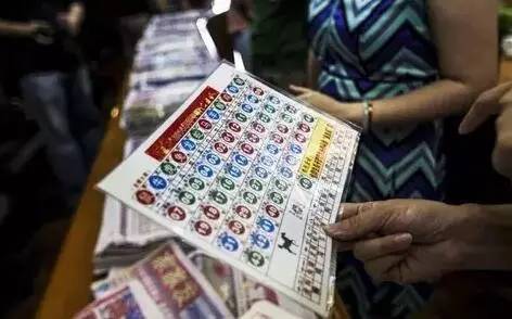 2043年香港六合彩，揭秘开奖结果与背后的故事香港2014开奖日期表