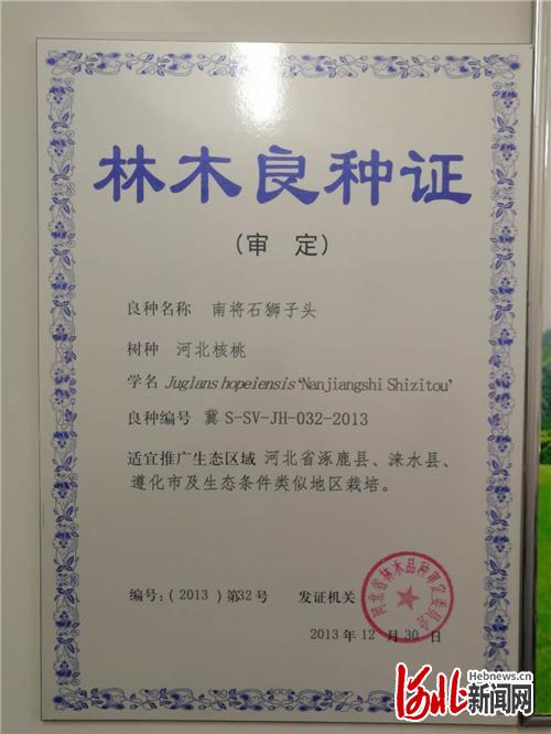 十大职场鸡肋，无用证书大揭秘十大没用的证书是什么