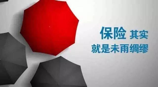 十家中国不允许倒闭的保险公司，国家金融安全网的重要支柱十家不允许倒闭保险公司有哪些