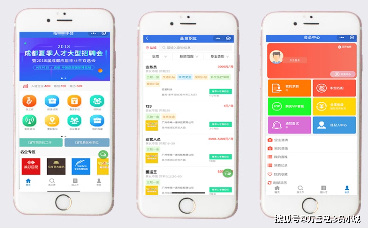 探索大佛山人才网招聘app，求职者的智慧选择与职场新机遇大佛山人才网招聘网