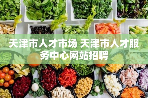 天津市人才服务中心官网，打造高效便捷的人才服务新平台天津市人才服务中心官网入口